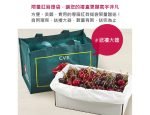 紐西蘭大嘴巴櫻桃禮盒32mm/1KG (附限量紅脣提袋)(高規格精選)